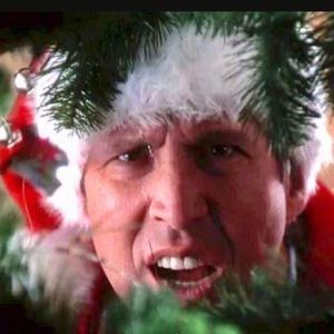 Meet your Posher, Terri